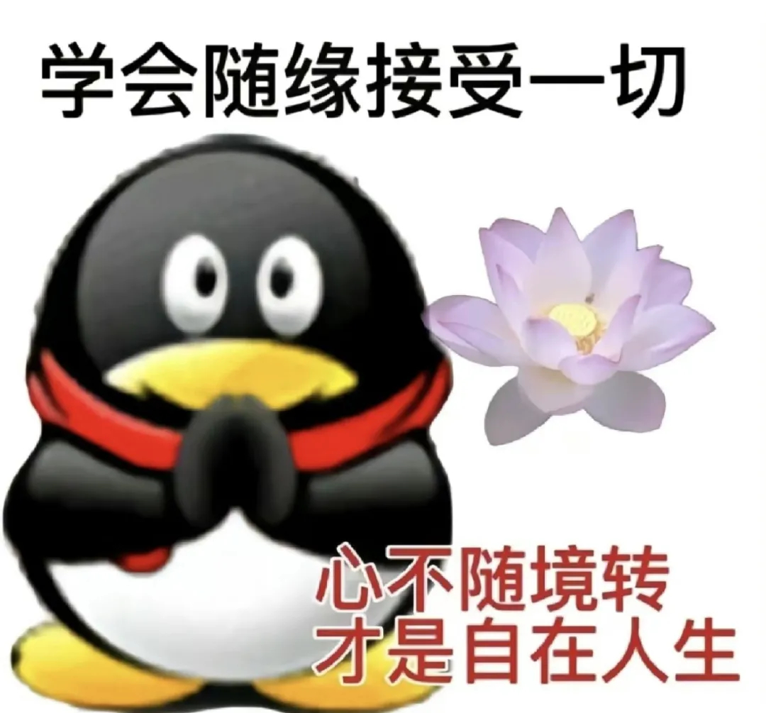 #每天一条冷知识# QQ企鹅的原型大概就是构色比较简单，黑脸带着小白眼圈的阿德利