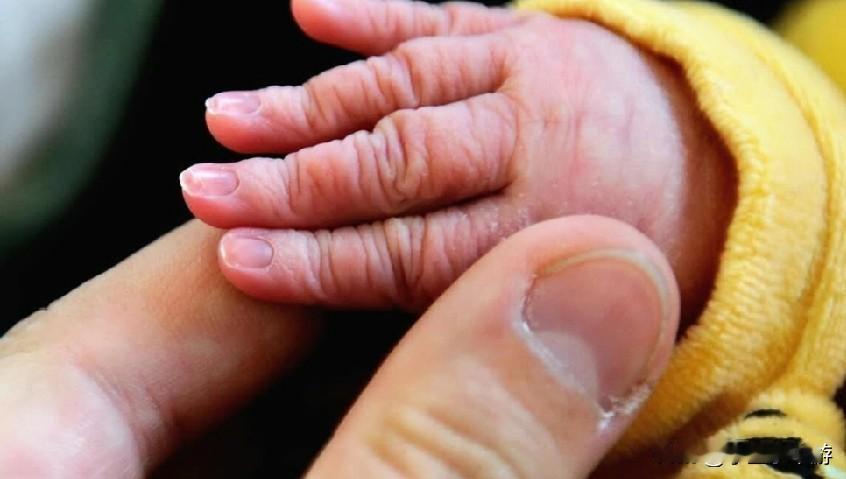 根据法国国家统计与经济研究所（Insee）1月13日公布的年度人口报告，2025