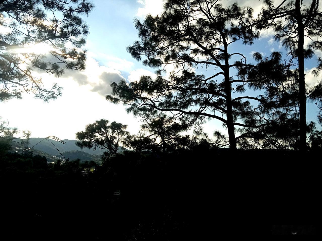 生死一路，岂能儿戏，救人要紧。卡奌截获一车盗木，检查员叫俩人上车查看，俩人爬上车