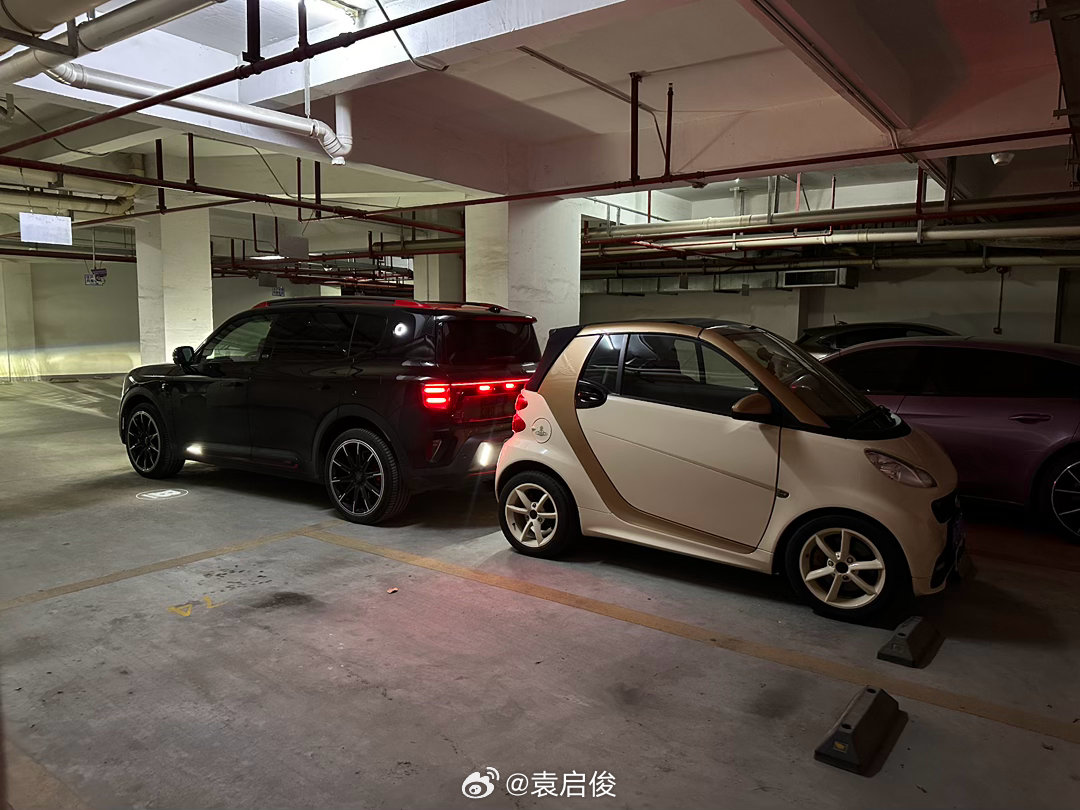 两台smart齐聚了