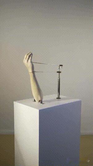 不知道这些艺术家想表达啥