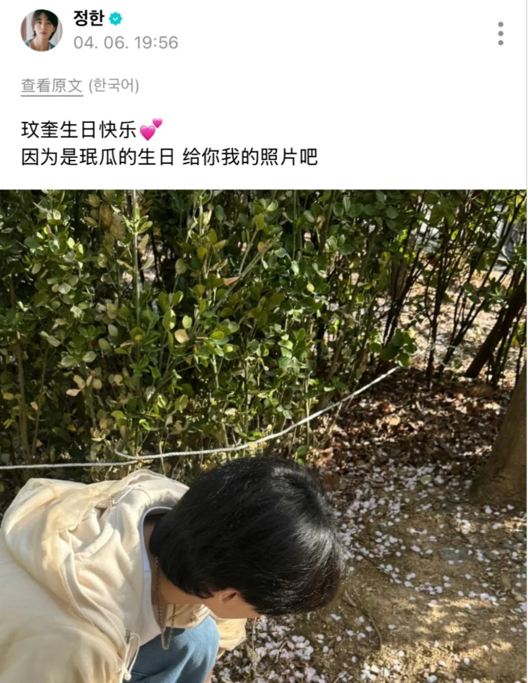 第一次见别人过生日发自己照片的
其实不是第一次这么干了，笑死我了这个净汉seve