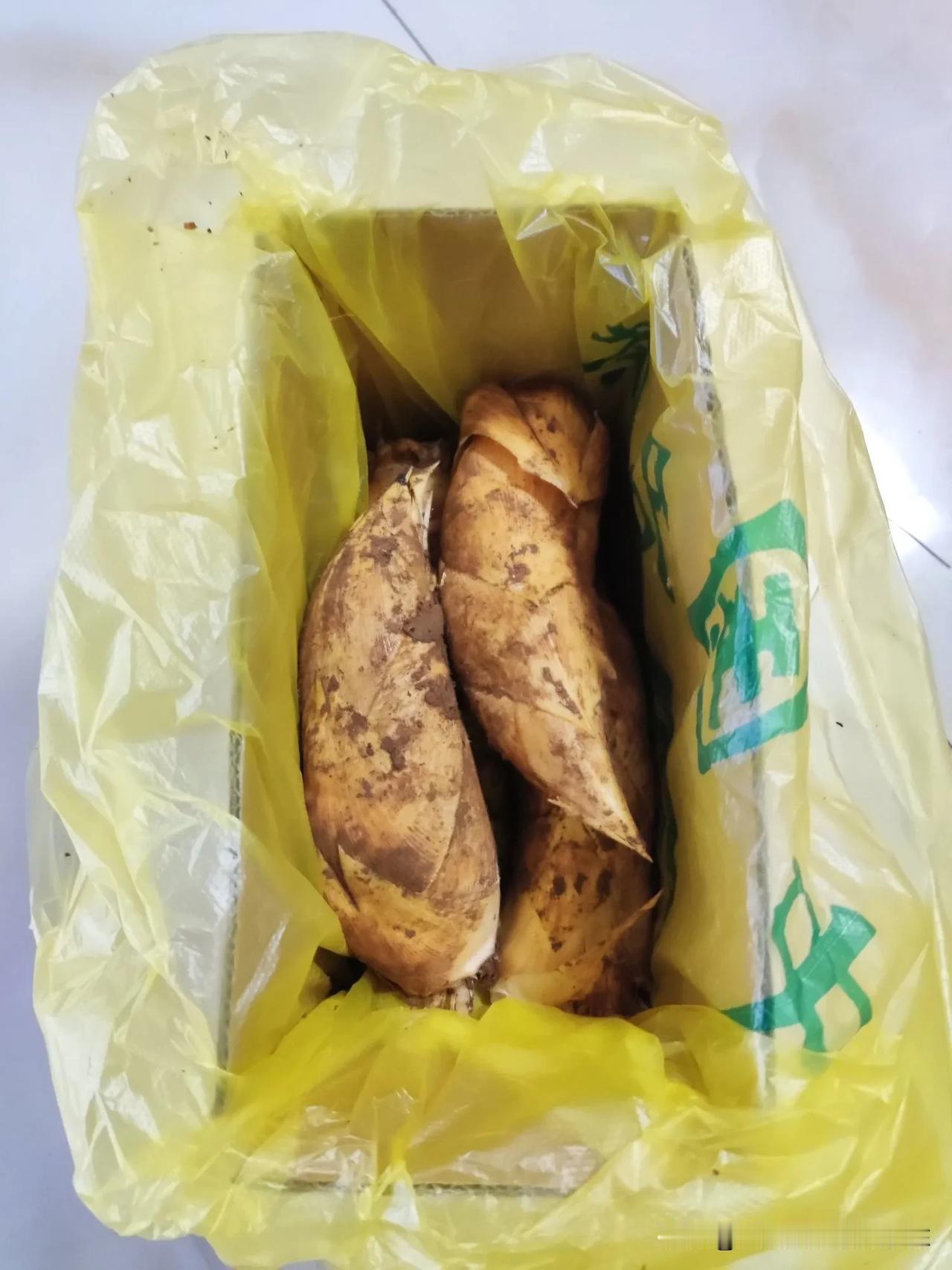 今天老爸挖的两头尖尖的冬笋，肉质饱满，吃起来非常鲜甜