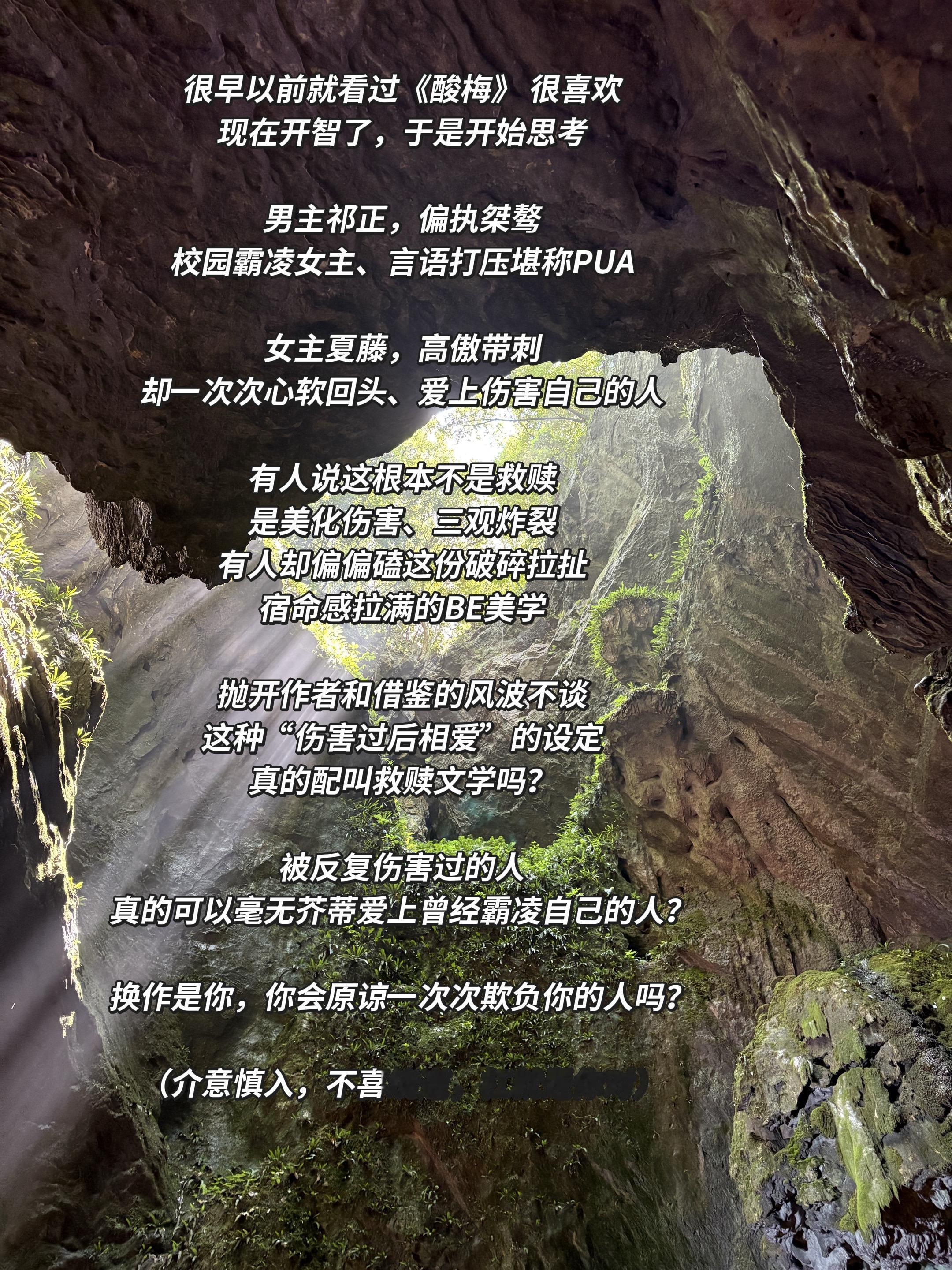 《酸梅》真的算救赎文吗。