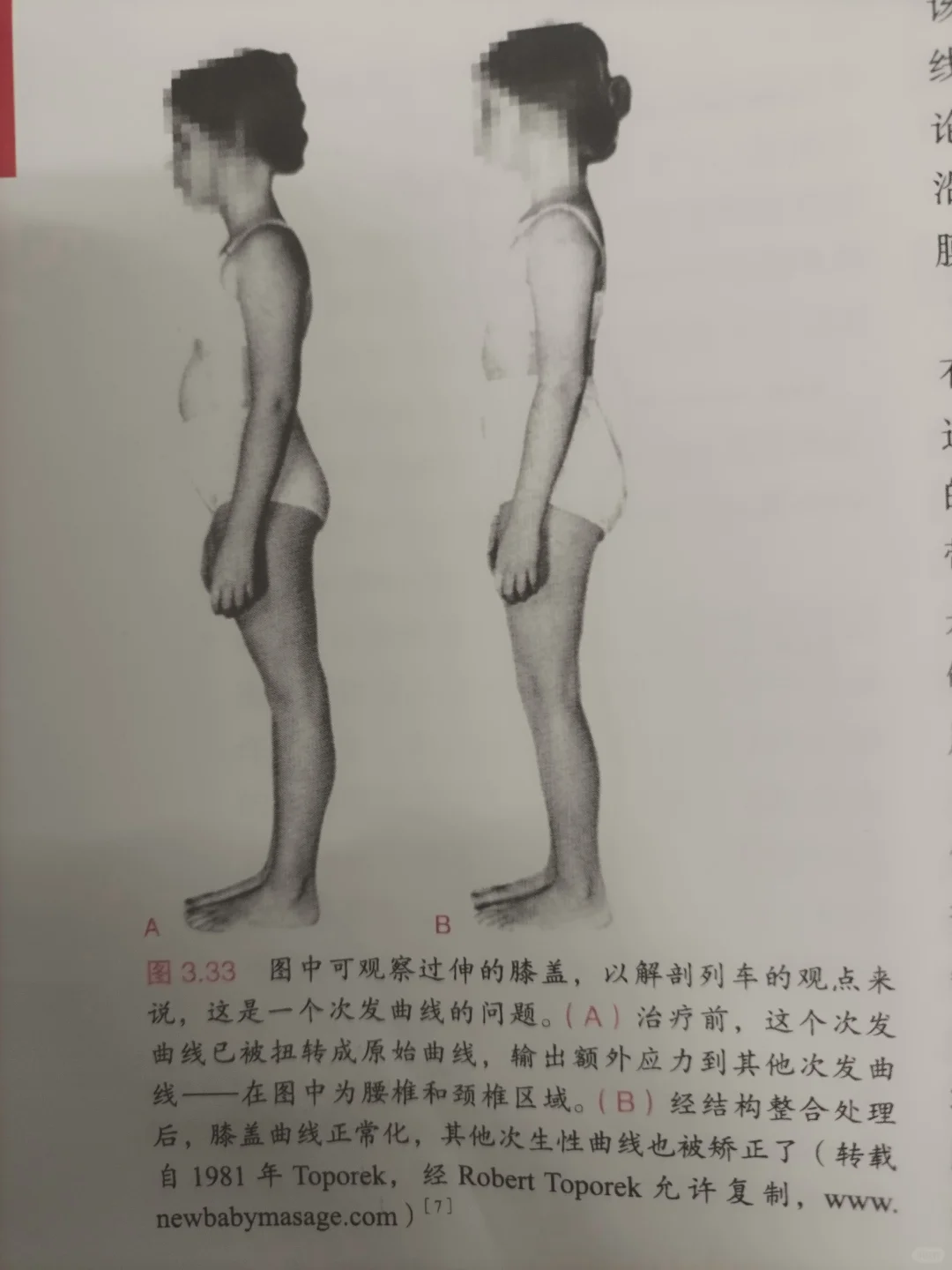 很多这种体态吧？