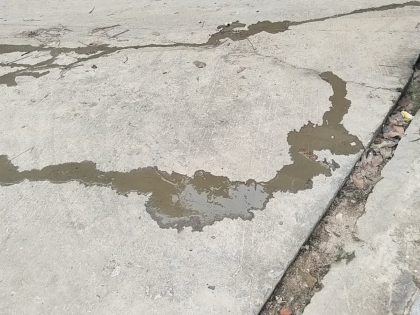 积点德吧你们……​我想去举报。 ​​​