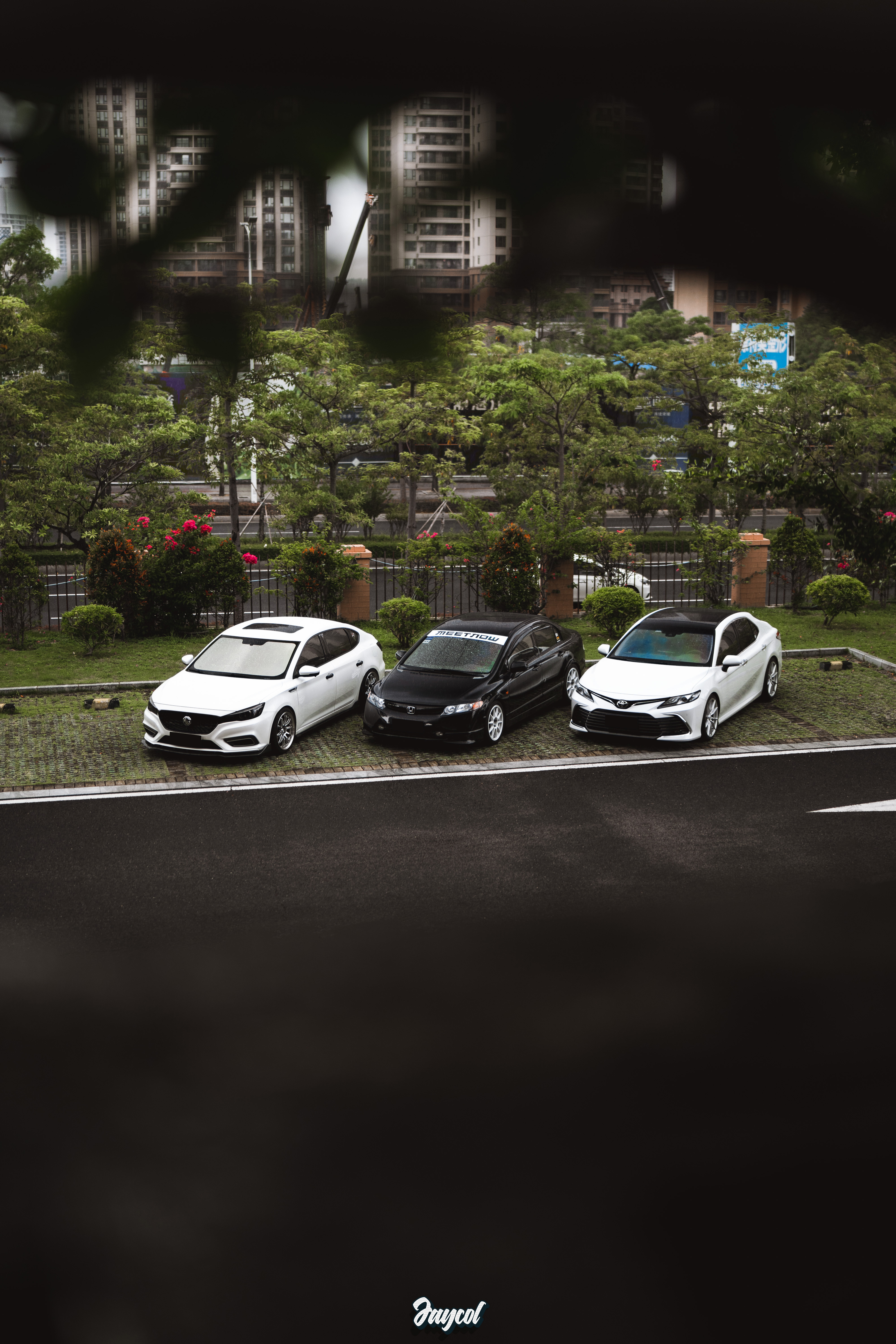 ⚪️⚫️⚪️ ​​​