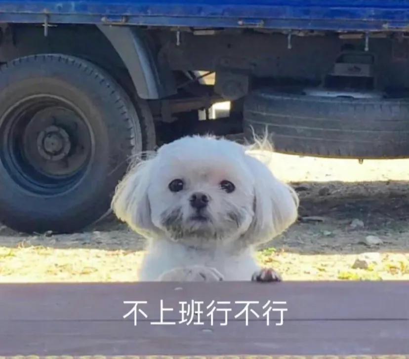 我朋友电销做的挺开心的
她说她们公司的销冠，两个月加起来光提成就拿了十五万，反正