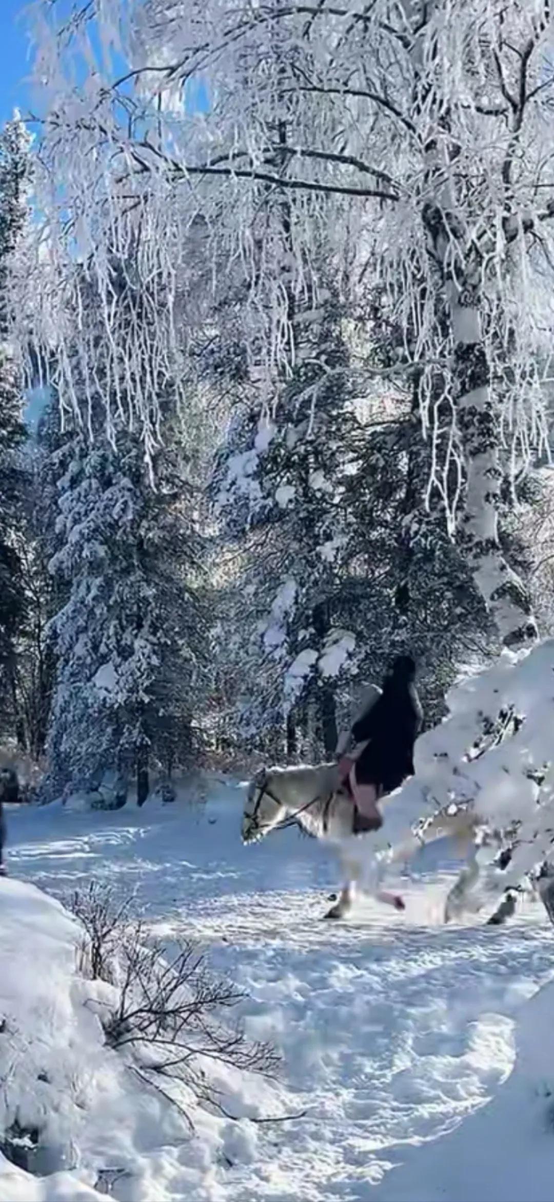 雪地骑行者