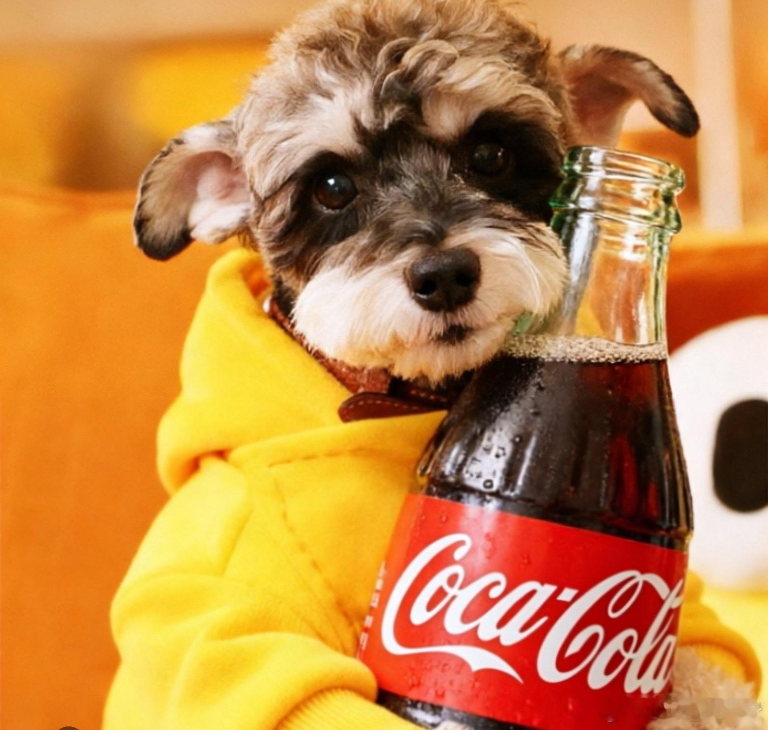 4.9 周四 . 岁2️⃣两贴满换69. 网页链接（16）70. 网页链接（16