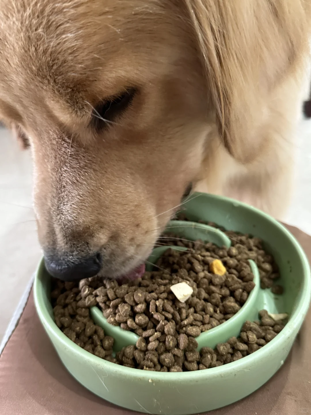 怎么吃个饭还抛媚眼啊……