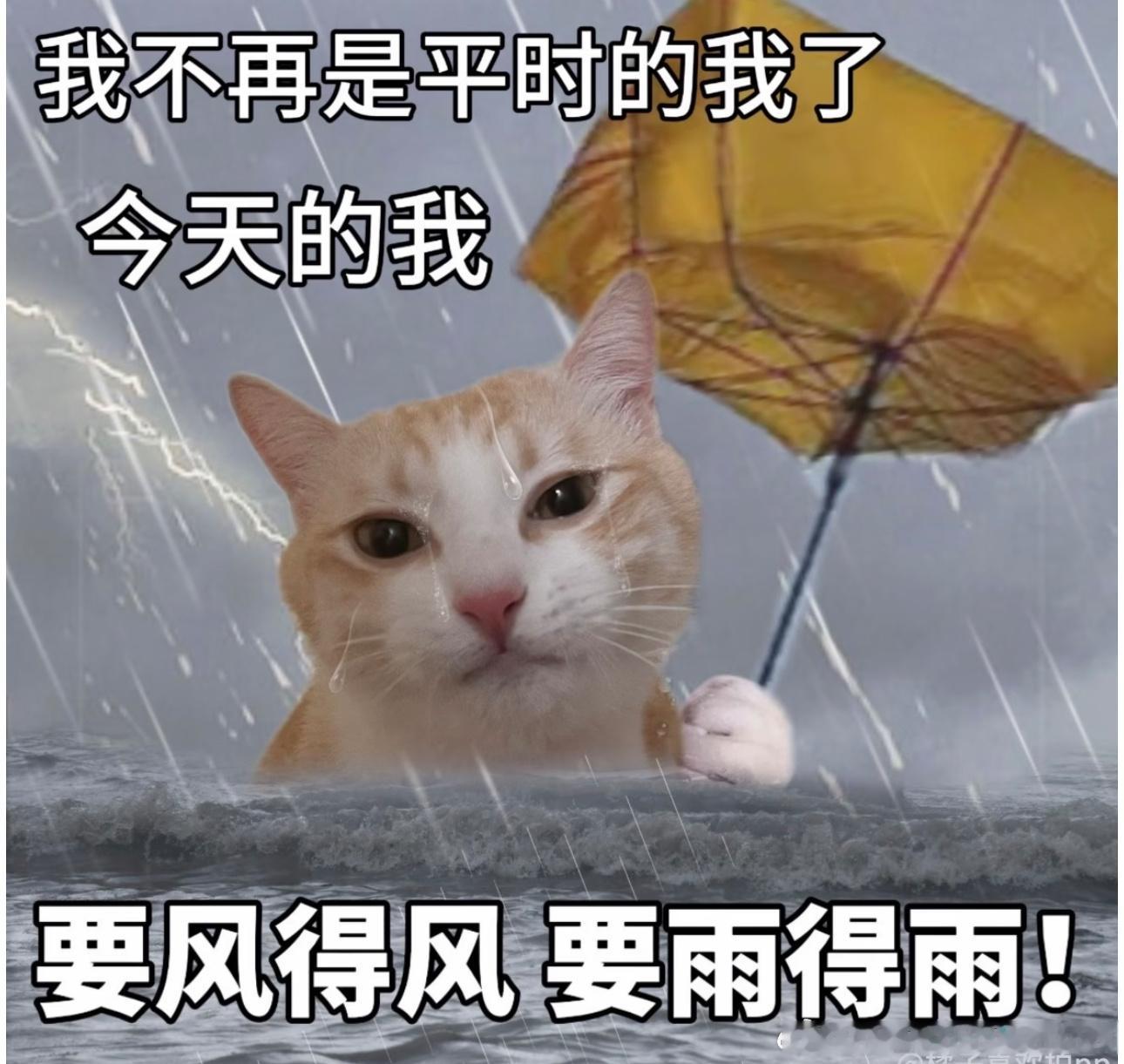 白海豚；我叫巴威，是的，我重生了，上一世我被江浙沪人民嘲笑不如电风扇，重活一世，