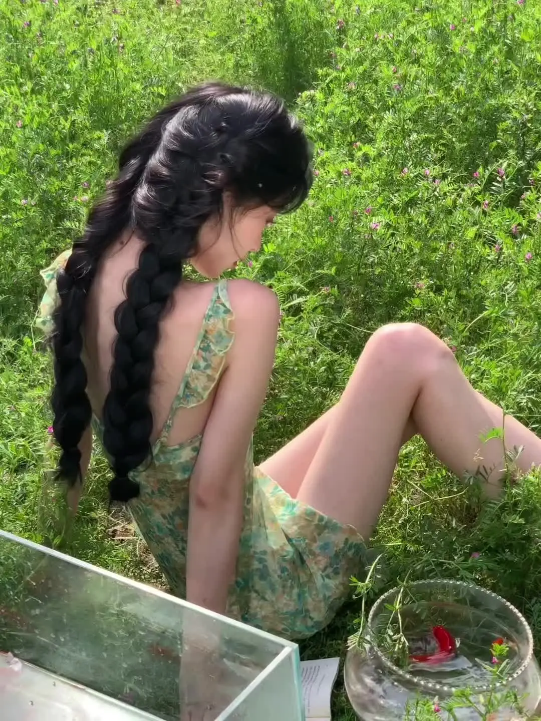 像鱼一样被困在夏日的梦境里