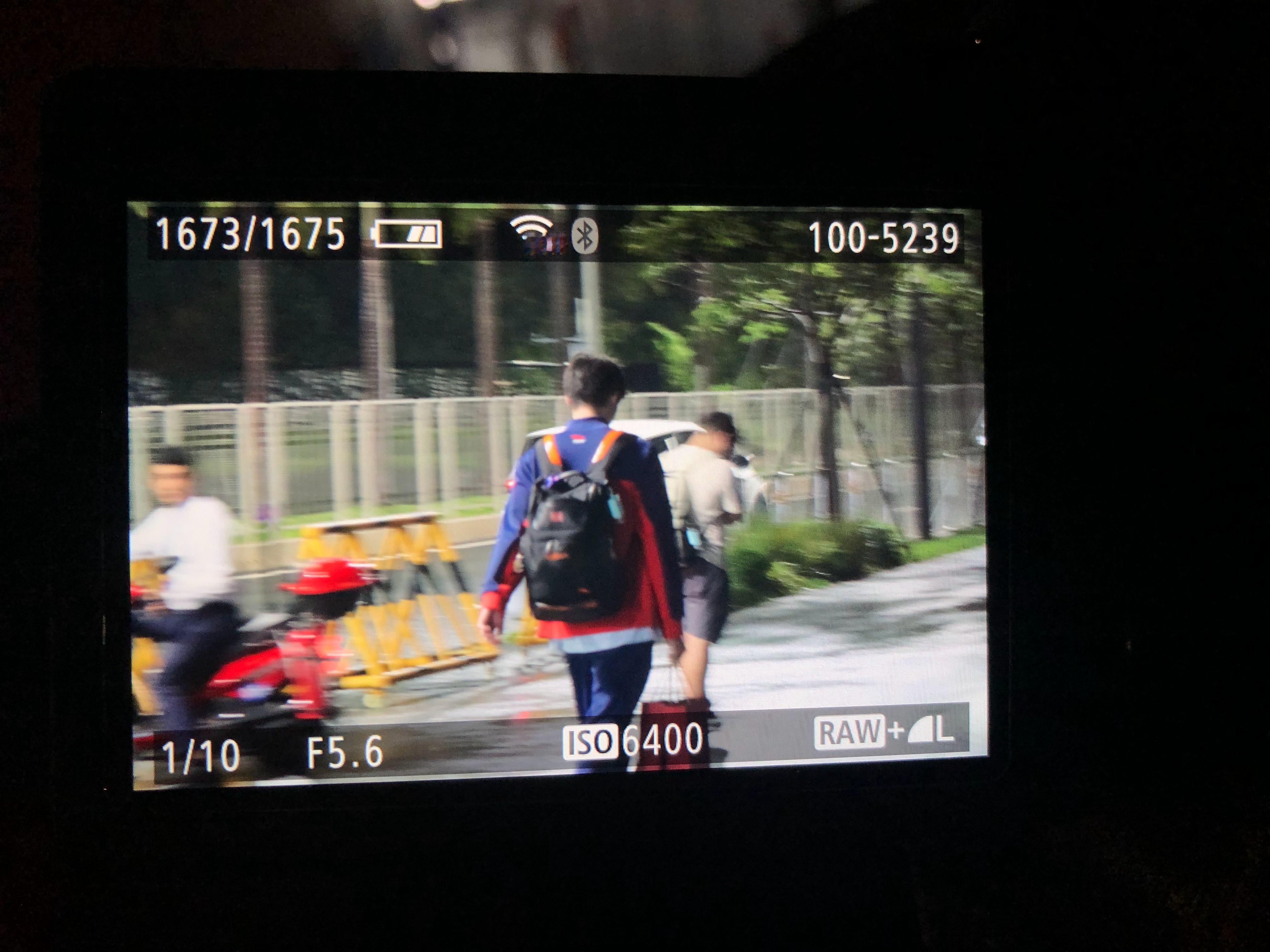 给小海豹同学拍到一张超绝氛围感背影[憧憬] ​​​