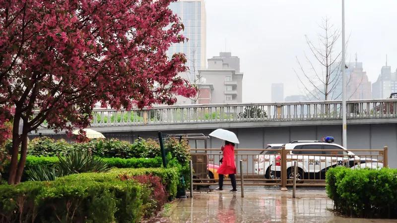《浅春》
乍嗳还寒春尚浅，
残冬败雪犹半山。
花开处处须时日，
梅香朵朵红烂漫。