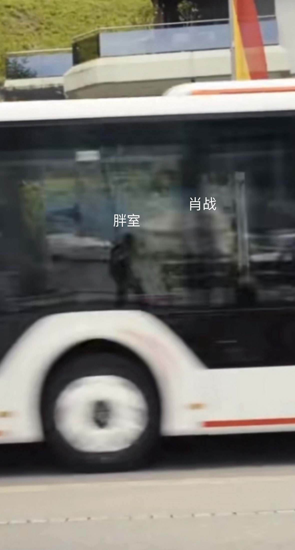 #肖战工作室狗狗祟祟的#vlog里看到胖室了，狗狗祟祟的在拍肖战[嘻嘻]胖室：没