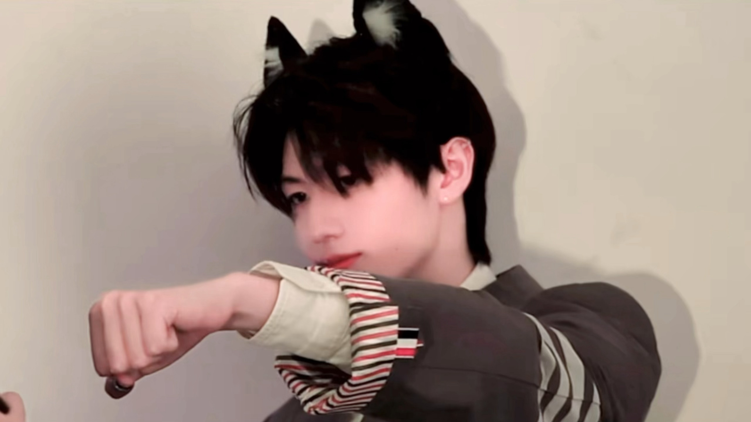 猫咪呀 