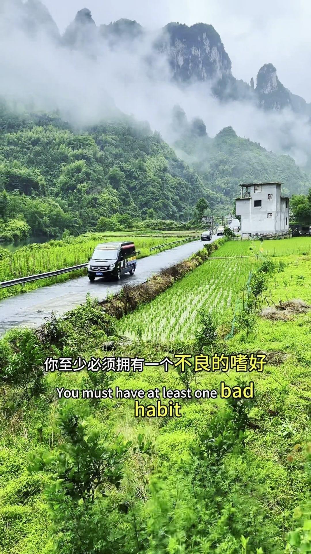 你有没有想过，那些看似“不好”的小爱好，可能是支撑你走下去的光。就像乡村里的老槐
