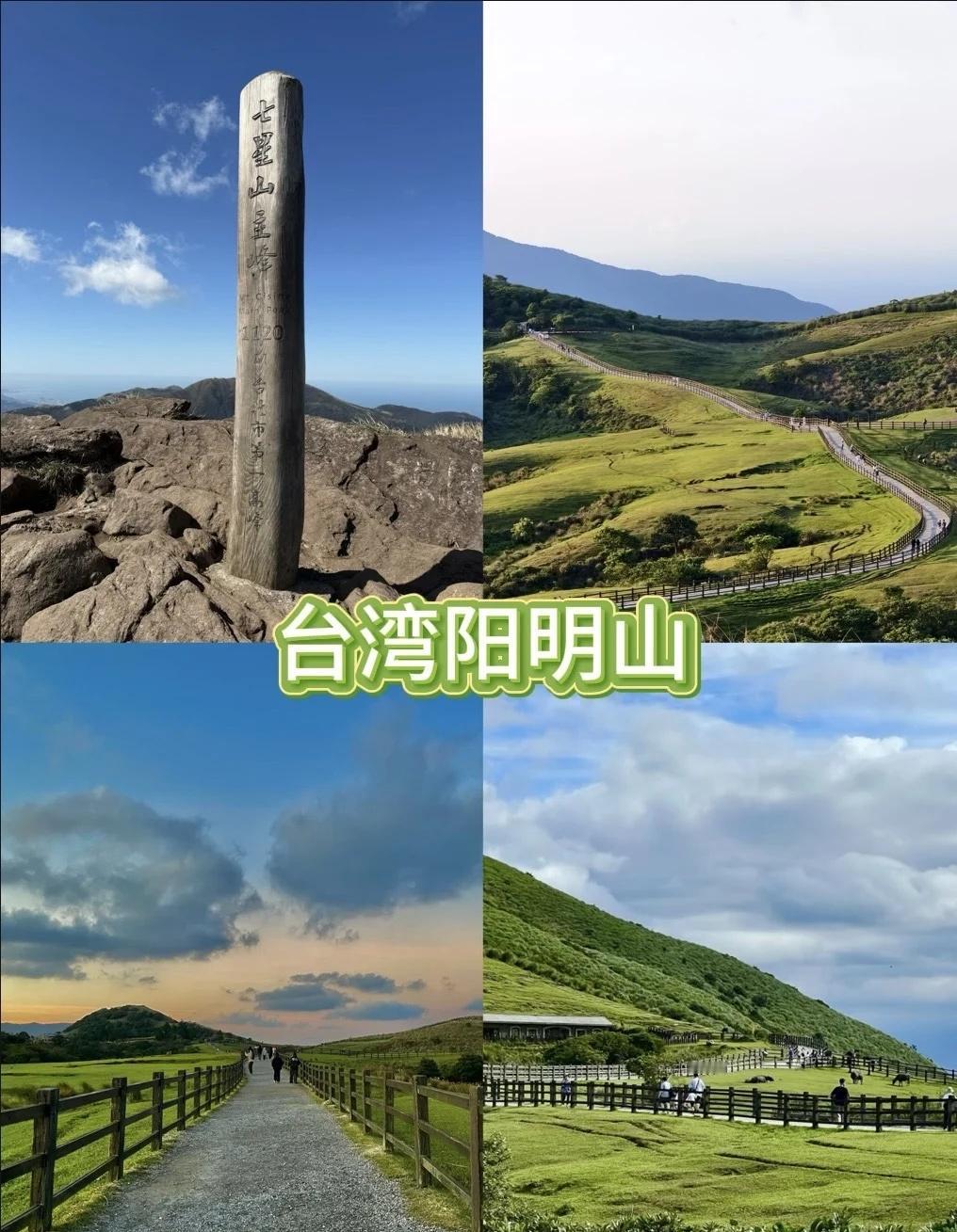 在阳明山林间漫步每口呼吸都是森系治
清晨五点裹紧外套往山顶走，雾是软的，沾在发梢