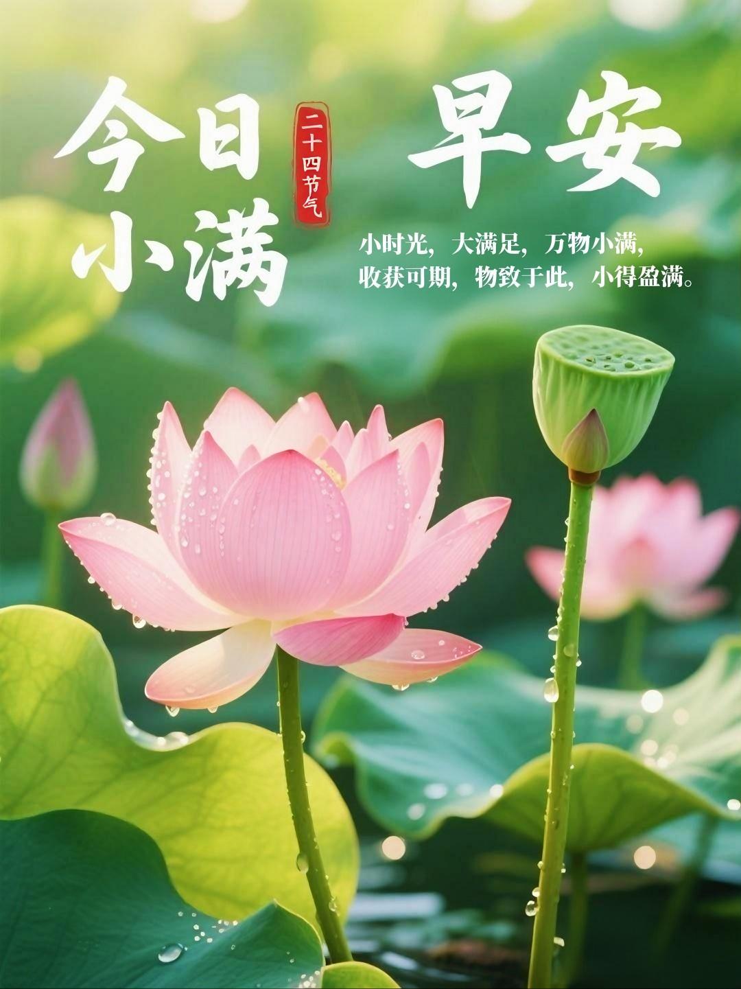 早安吉祥！小满小满，小得即安。不求大富大贵，但求三餐有味，四时康健。转发这份小满