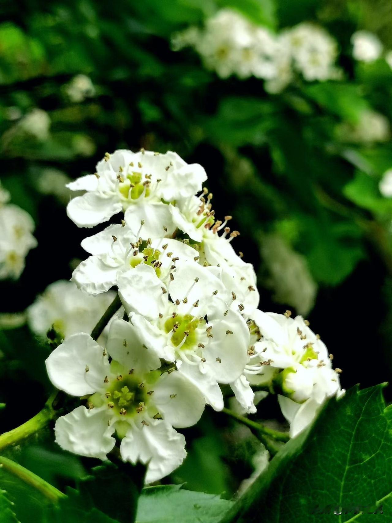 背叛后的感情还能重圆吗? 
【小对联】
上：……？
下：偶然。