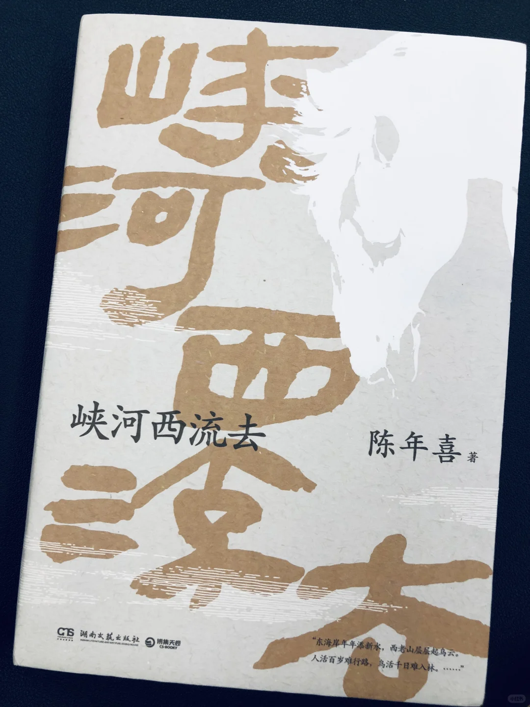商山桃花三五枝｜陈年喜 矿漂十六年忆故乡