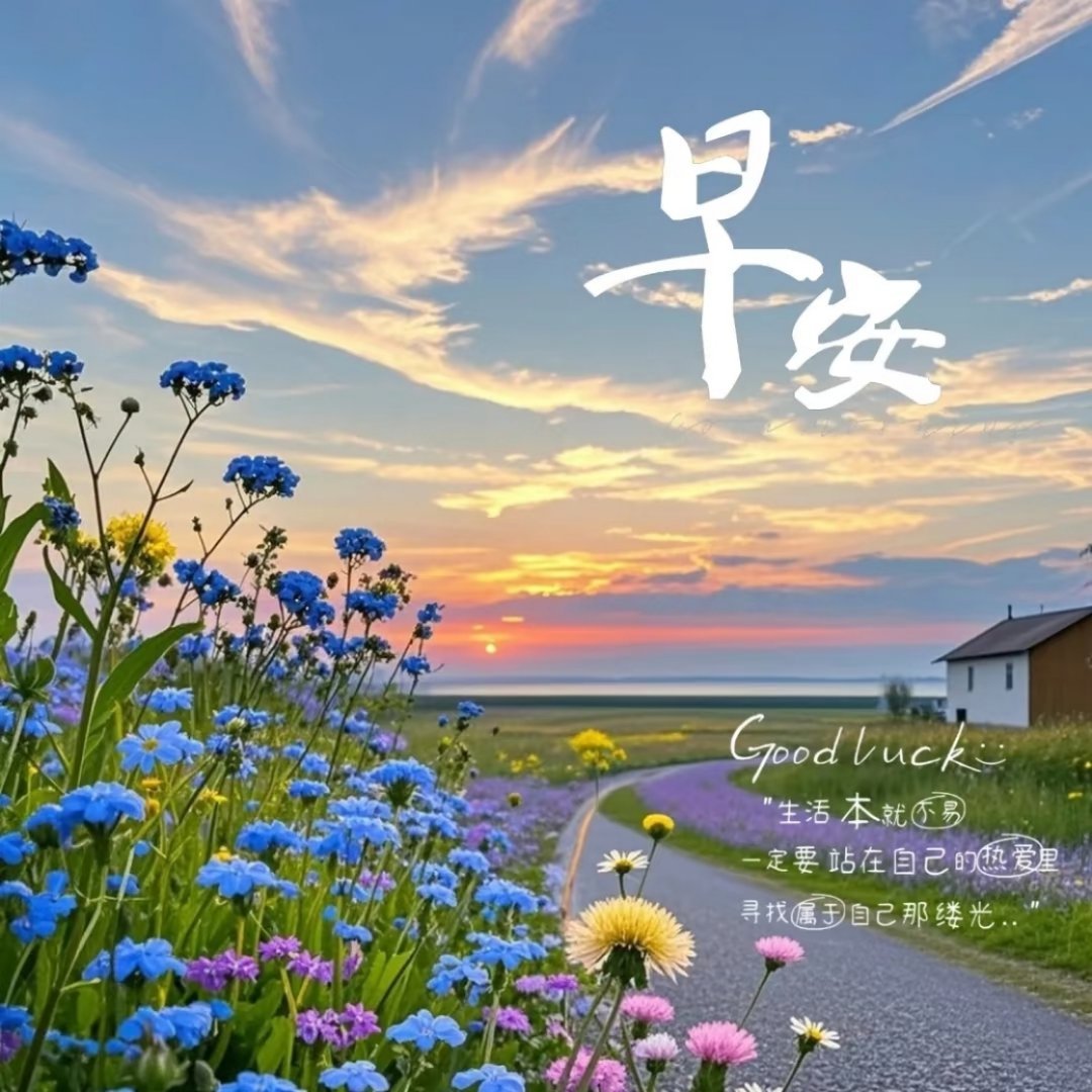 早安 🔆｜ᴍᴏʀɴɪɴɢ〰🍃清晨的第一缕阳光，带来无限的希望～用心喜欢，用心
