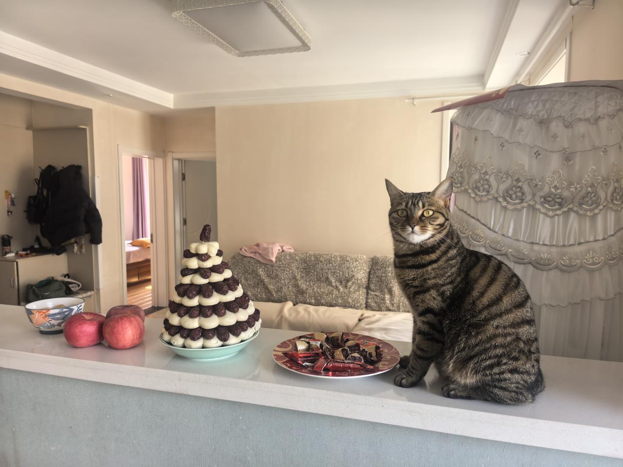 我家的小喵喵给大家拜年了[玫瑰][玫瑰][玫瑰]
祝你马上有钱，马上幸福，马上成