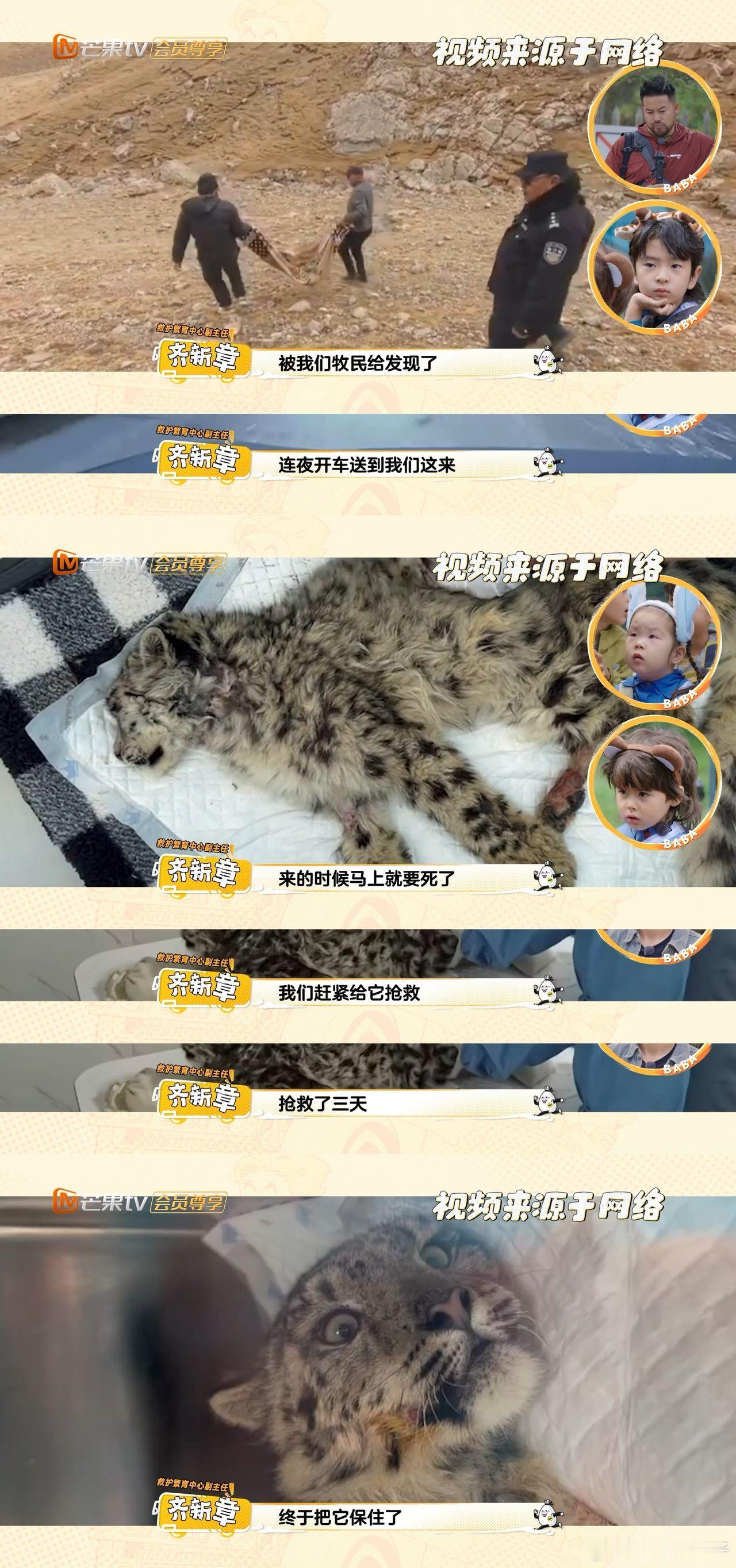 爸爸当家西野特辑看完西野特辑才明白，原来动物园可以这么有意义！从救助动物到尊重天