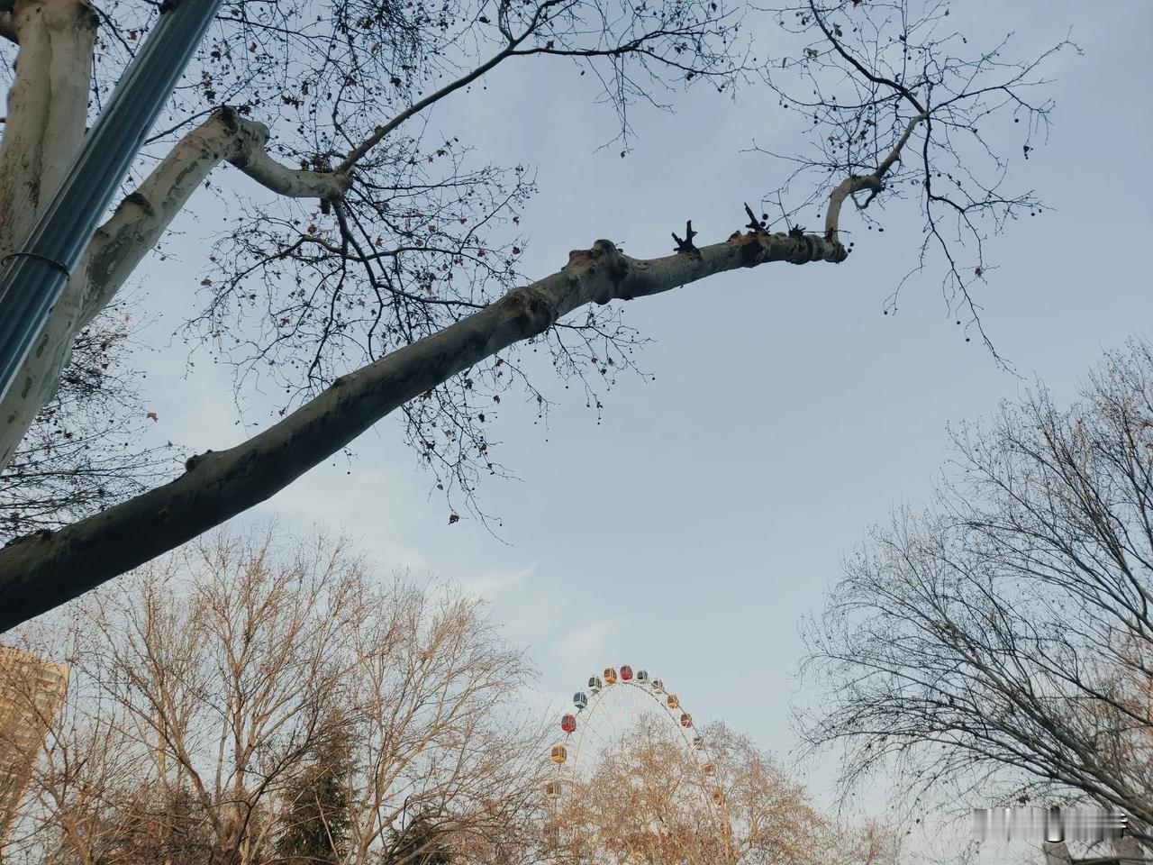 今年比去年更难！大环境不好，赚不到钱！
这是我这几年听过最多的话了，好像一年比一