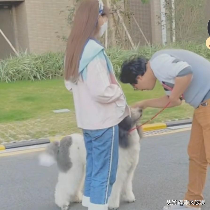 狗一搬不会随意认主，经过一翻值试，试出了狗狗的心理反应。养狗人心理学