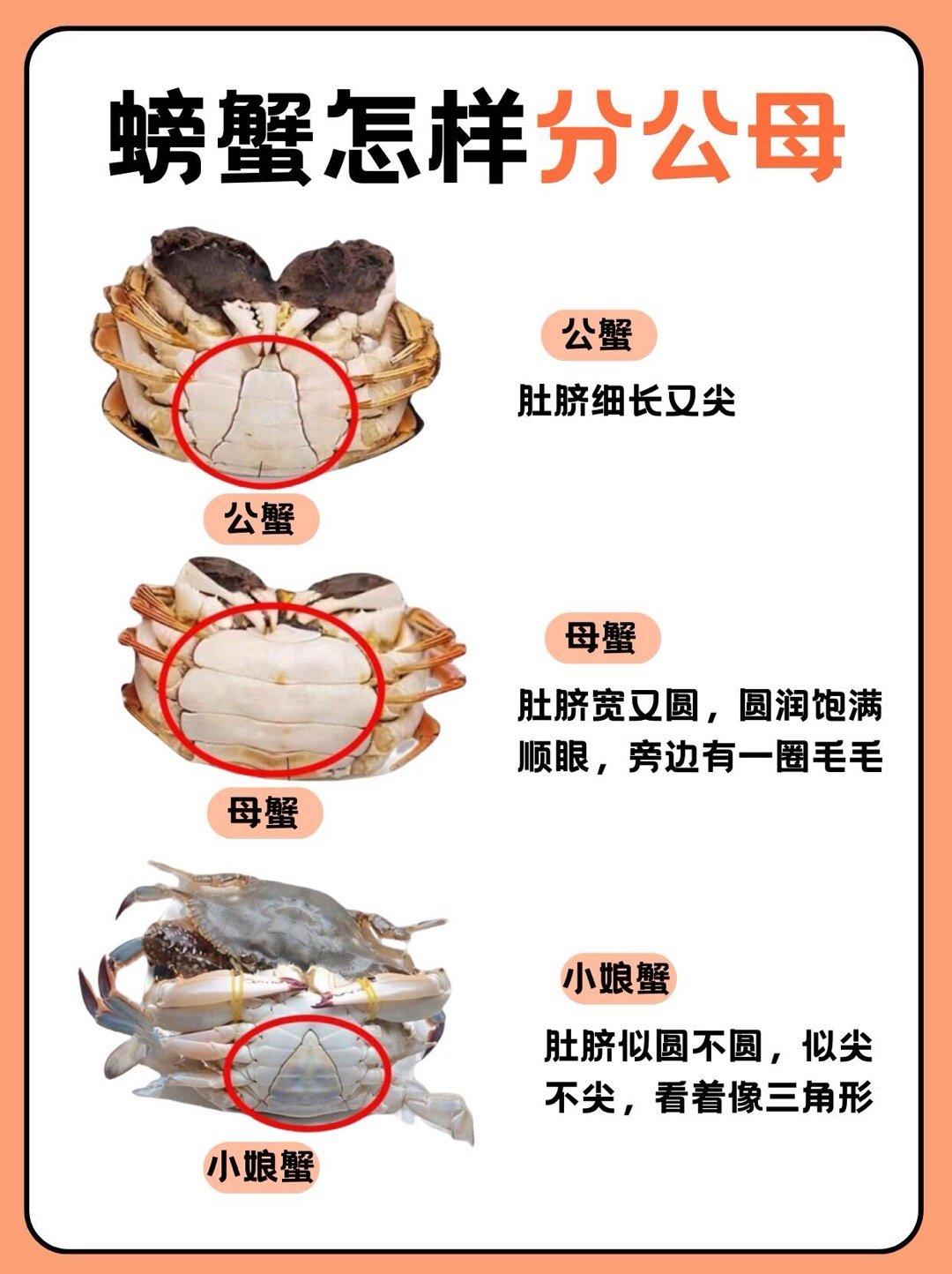 买大闸蟹名气和品质哪个更重要淮安洪泽湖成为大闸蟹第二故乡又到了一年一度吃螃蟹的时