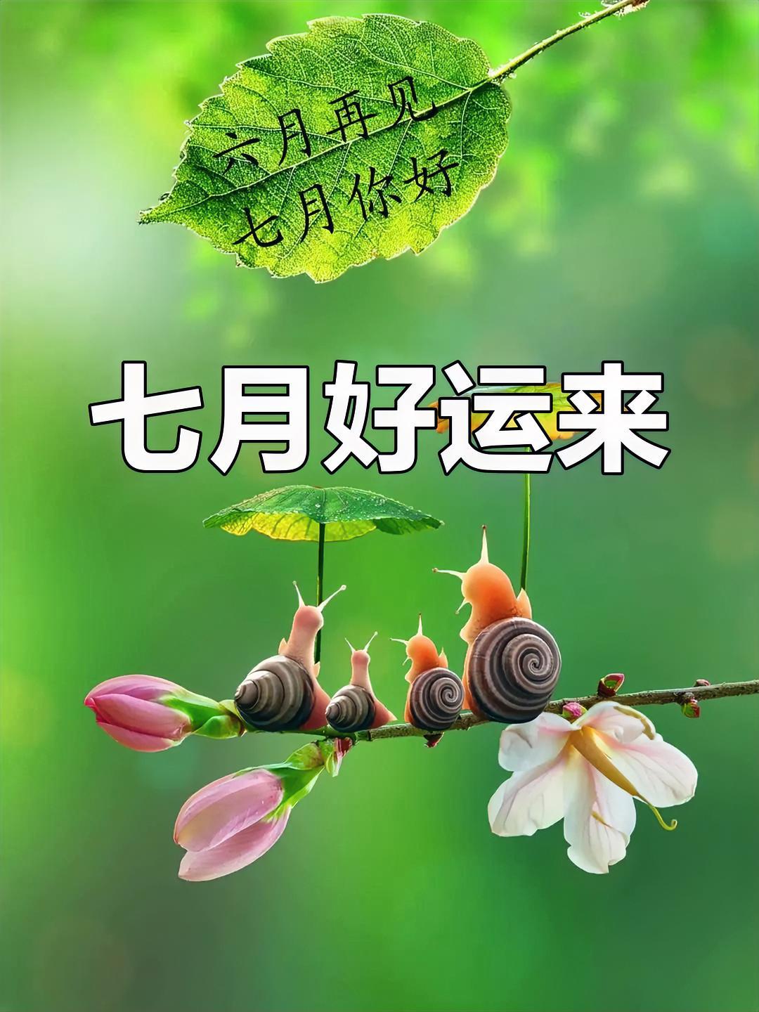 去年在安顺镇宁县避暑时，开车去看过，那里太偏僻太陈旧了！
你的上半年过得咋样 