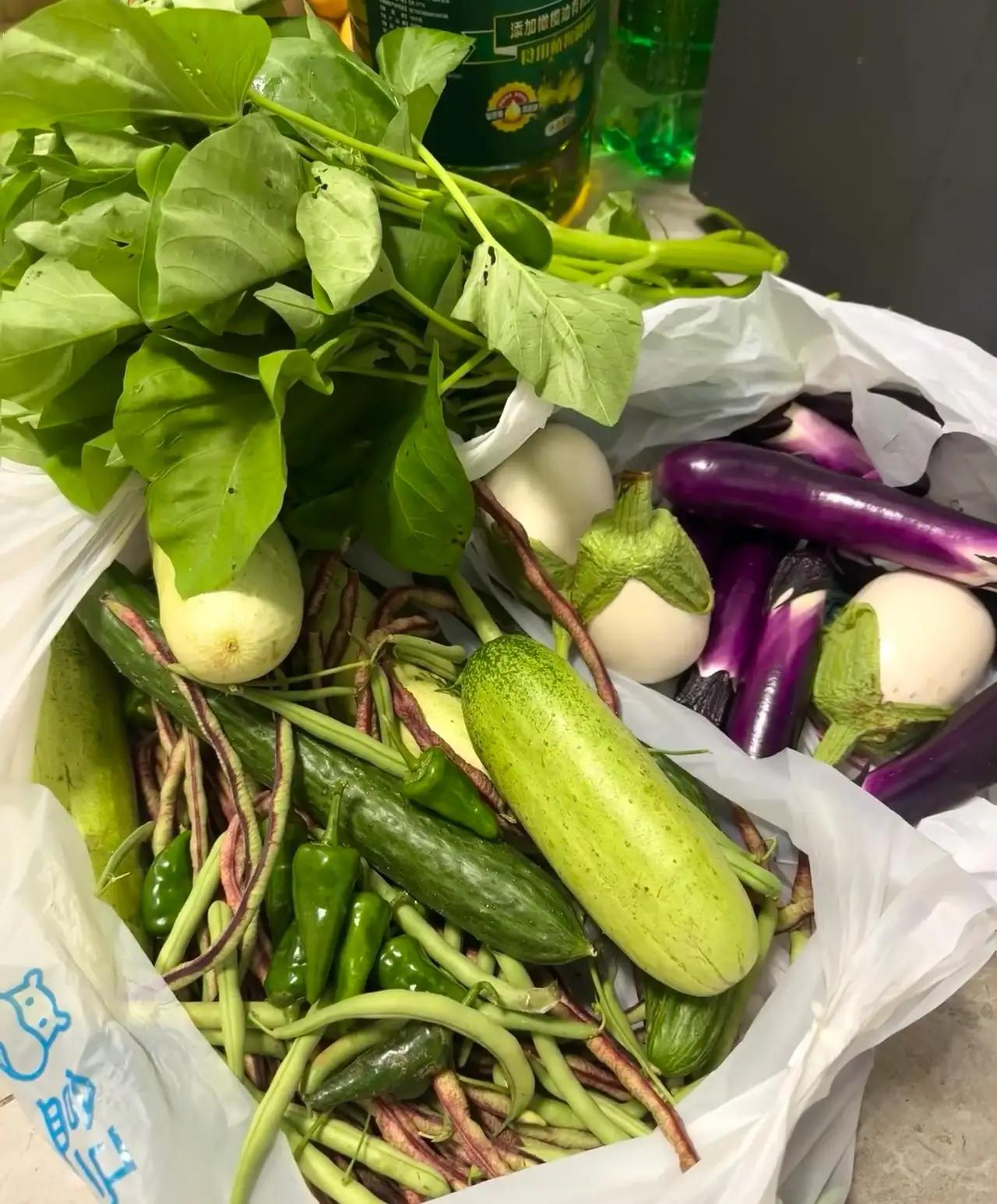 这到底是烦人，还是人缘好。邻居家每天都按时送上门来，黄瓜、豆角、茄子、土豆、辣椒