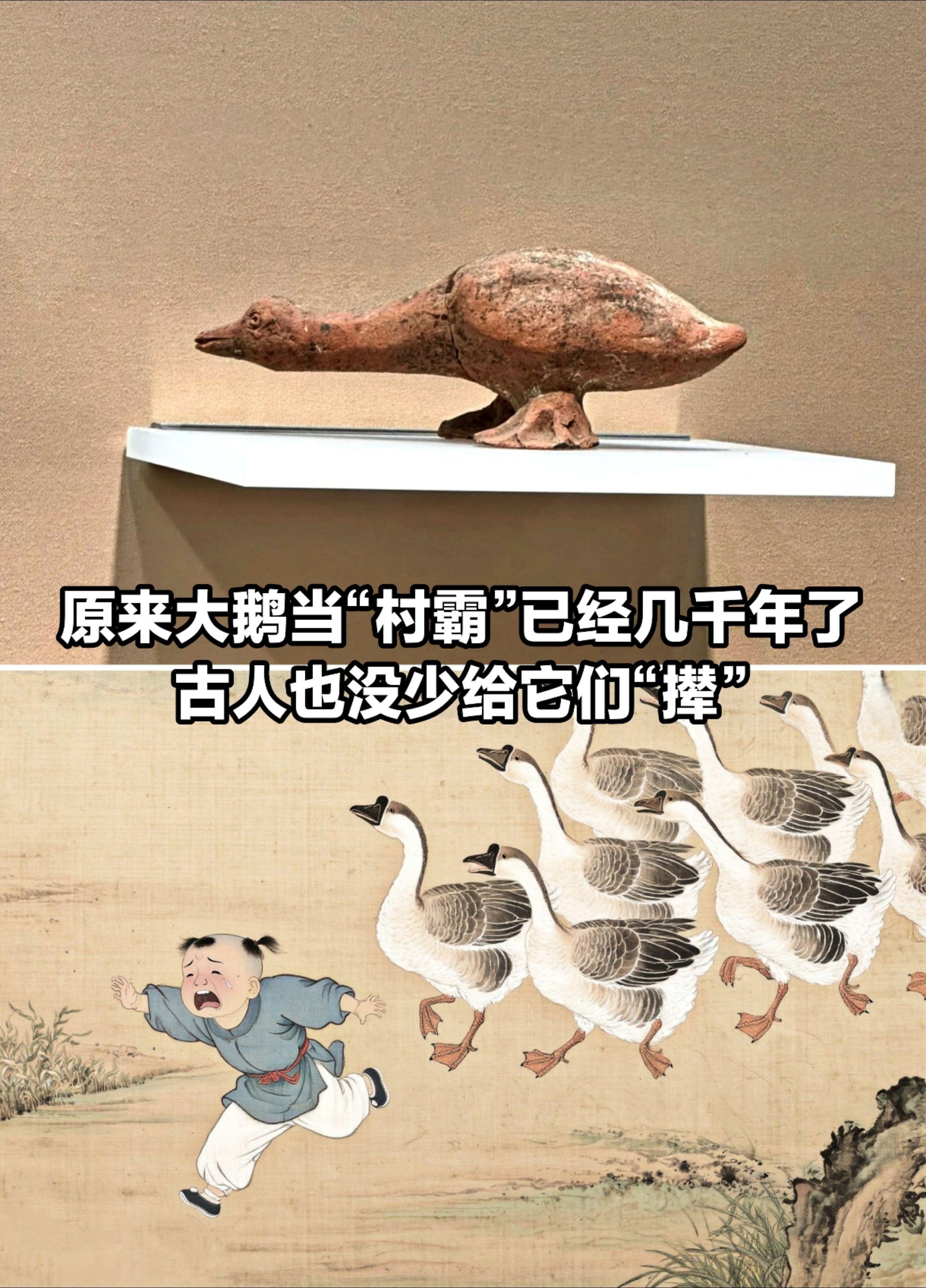原来大鹅当“村霸”几千年了。