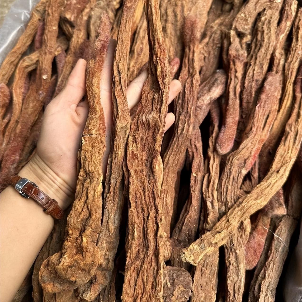 阳痿早泄 —— 一味肉苁蓉，30 多年经验，时间、硬度都能用


在中医看来，阳