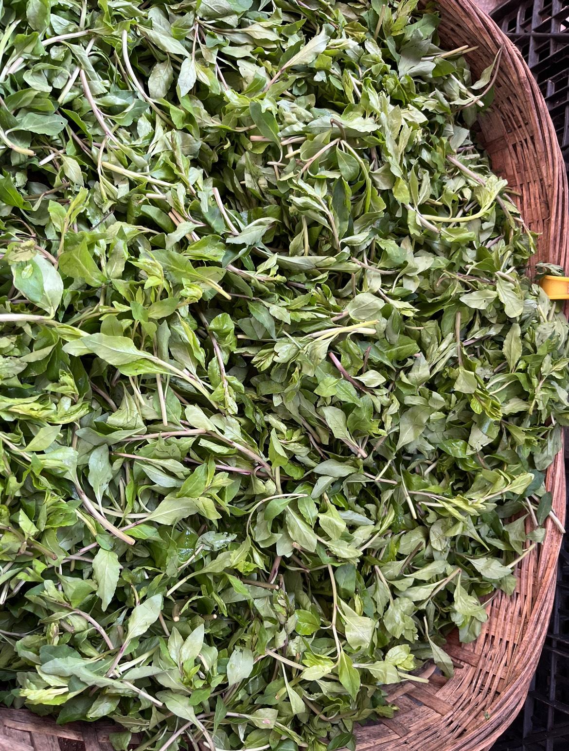 快来！咱们把春天吃到肚子里，就怕你认不到哦！

成都春日的野菜鲜嫩美味，带着原野