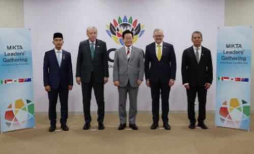 11月22日，南非约翰内斯堡。
韩国、墨西哥、印尼、土耳其和澳大利亚宣布组成“中