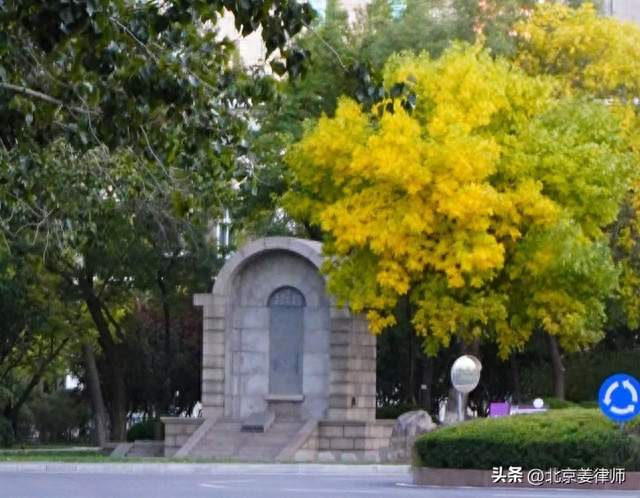 再审维权新思路：再审审查，并非只有驳回或裁定再审两种结果