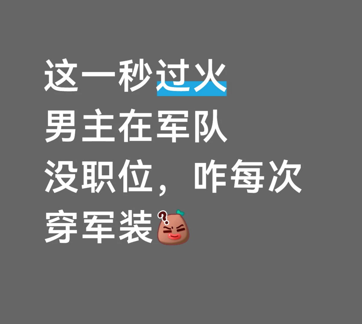 “仪仗队”这几个字我真的不行了这一秒过火