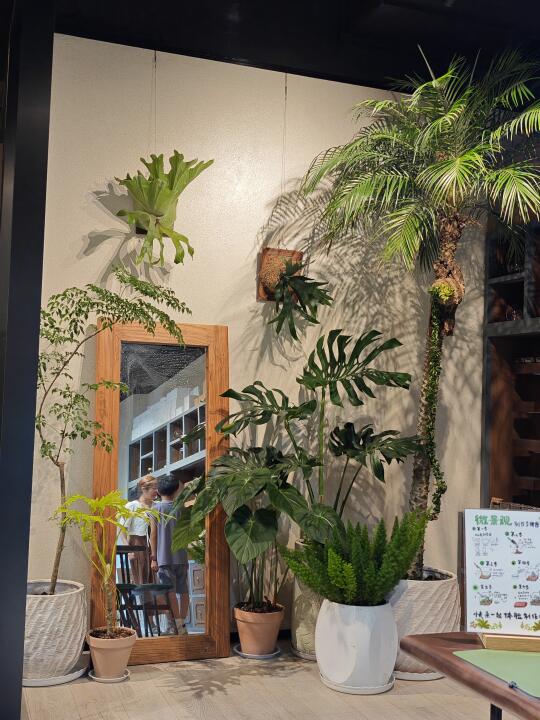 店铺绿植陈列
