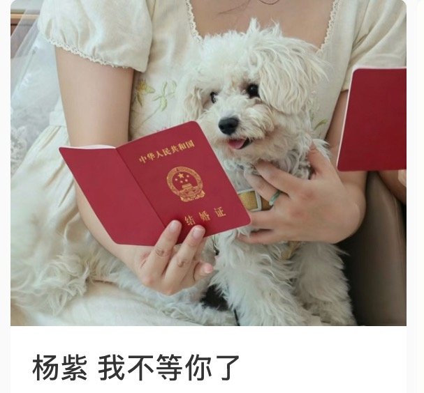 恭喜这个米   太好了又少一个情敌我和杨紫还是有机会的