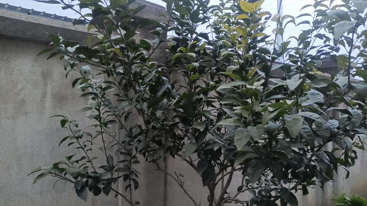 你是否曾在面对突如其来的变故时，手足无措？或者在争执中失去理智？这些都说明，我们