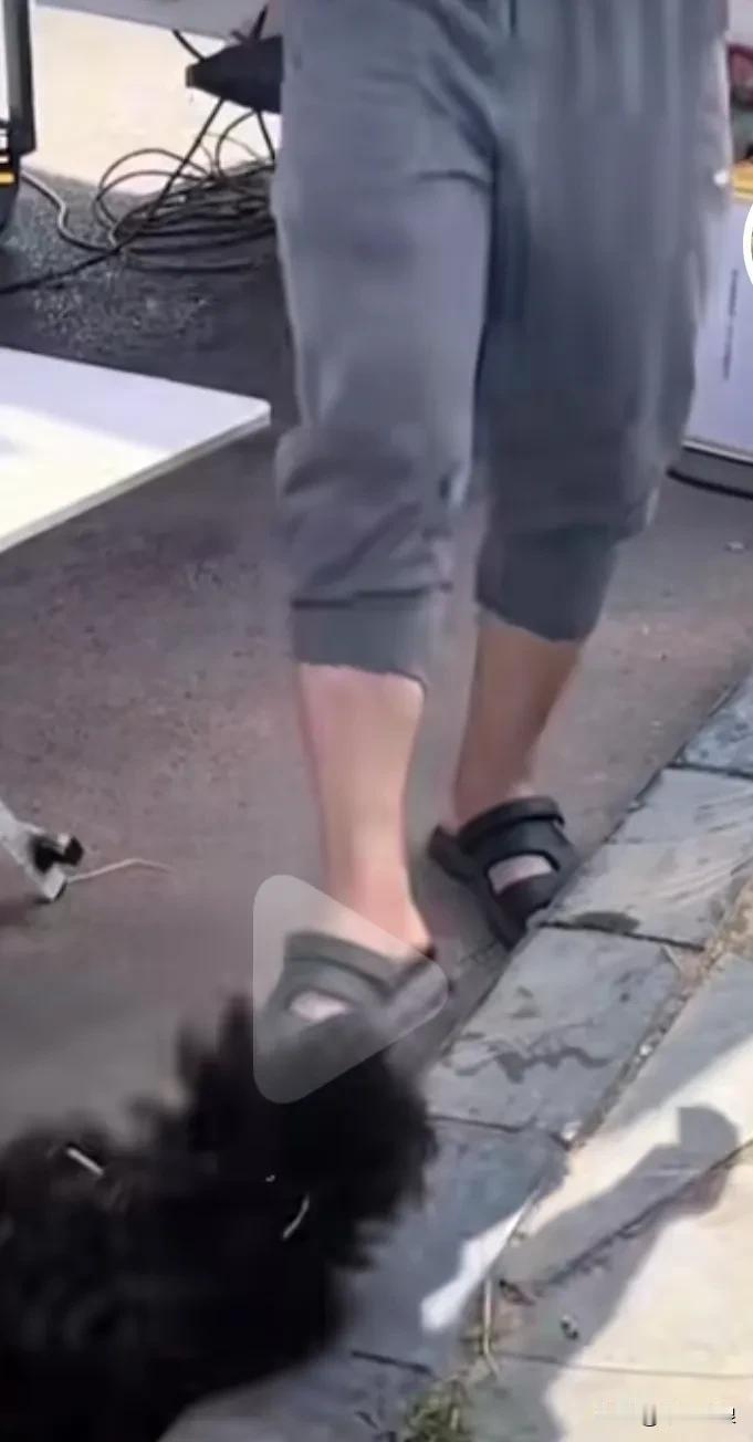 流浪狗为生存卑微向人们讫讨，这只小狗狗处招人气闲，进一间食店看能否找点吃的被老板