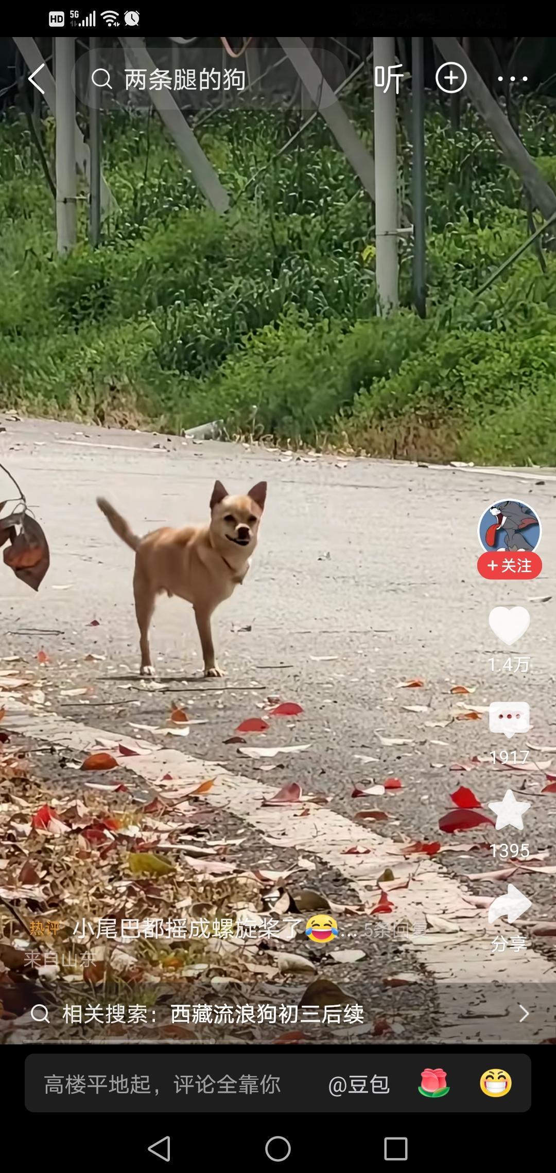 这明显就是AI做的，有些人却看不出来，还信以为真，送上莫名的感动。

有人给指出