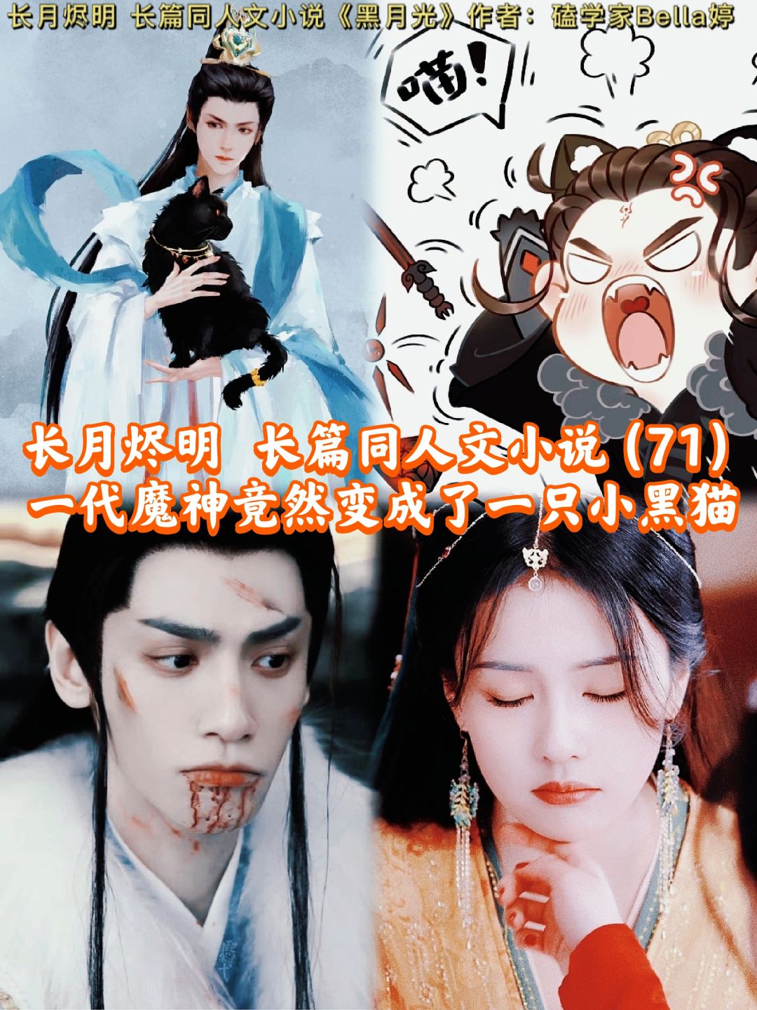71长月烬明：同人文续文甜宠文小说：小黑猫