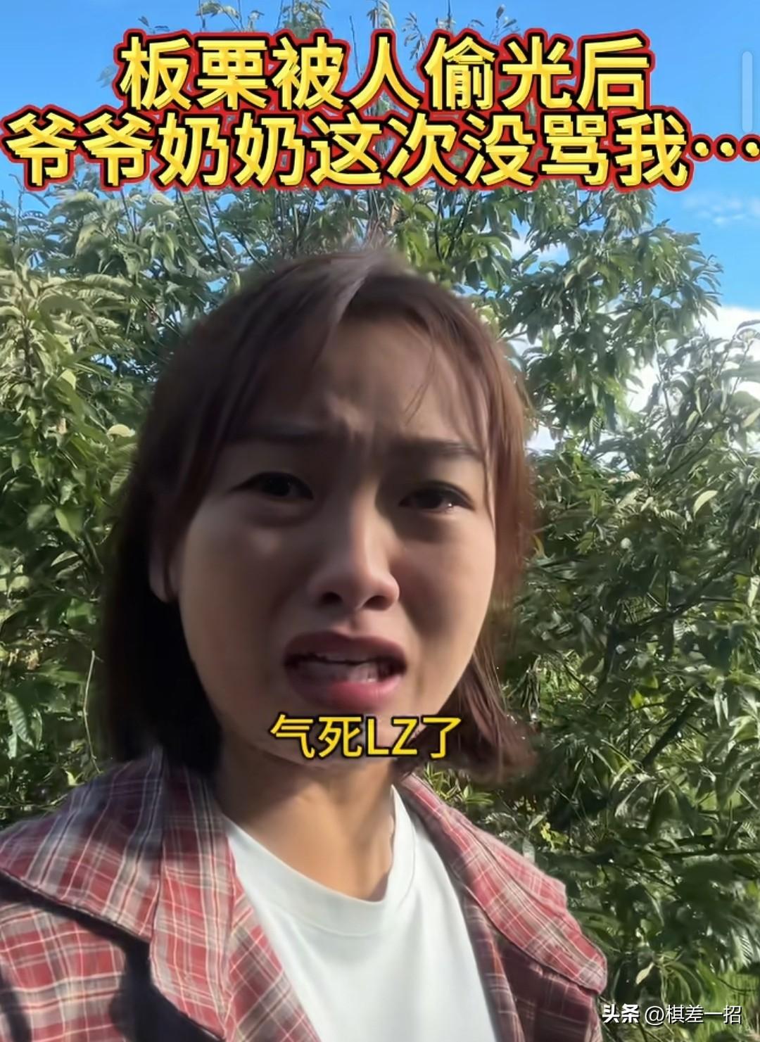 城里人下乡旅游，把农户的板栗全摘光。
她家前面有一个景区，游客都是从这里路过。
