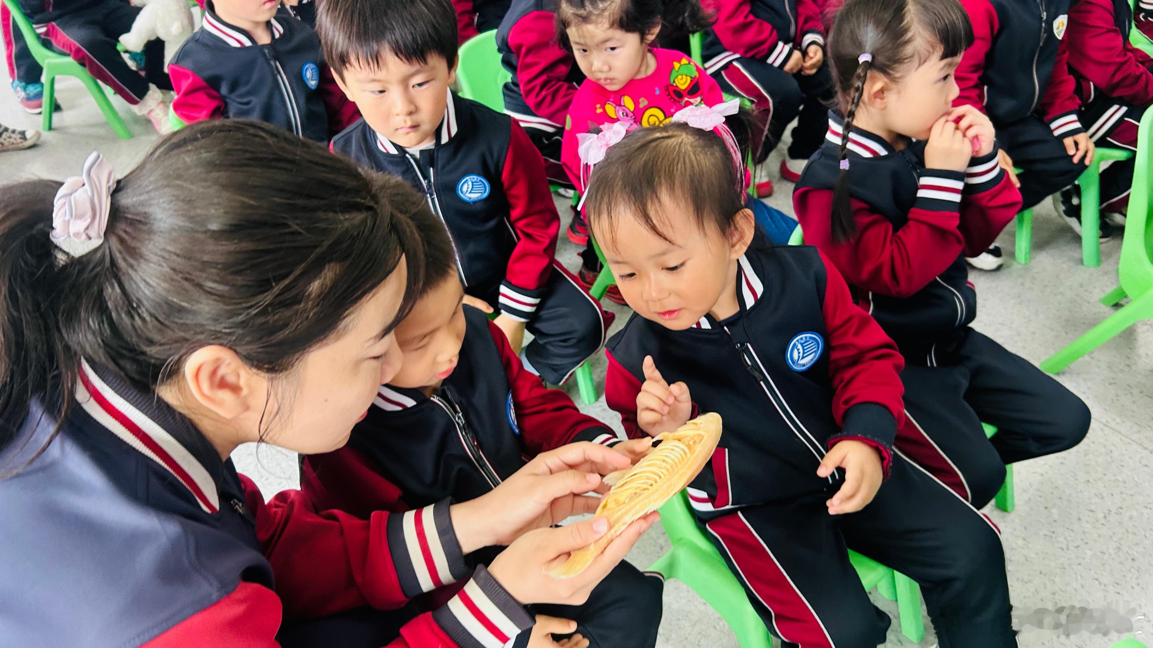 隋鸿锦萌娃养成记幼儿园科普 带着标本进入幼儿园，给祖国的花朵们讲鲸鱼，让孩子们从