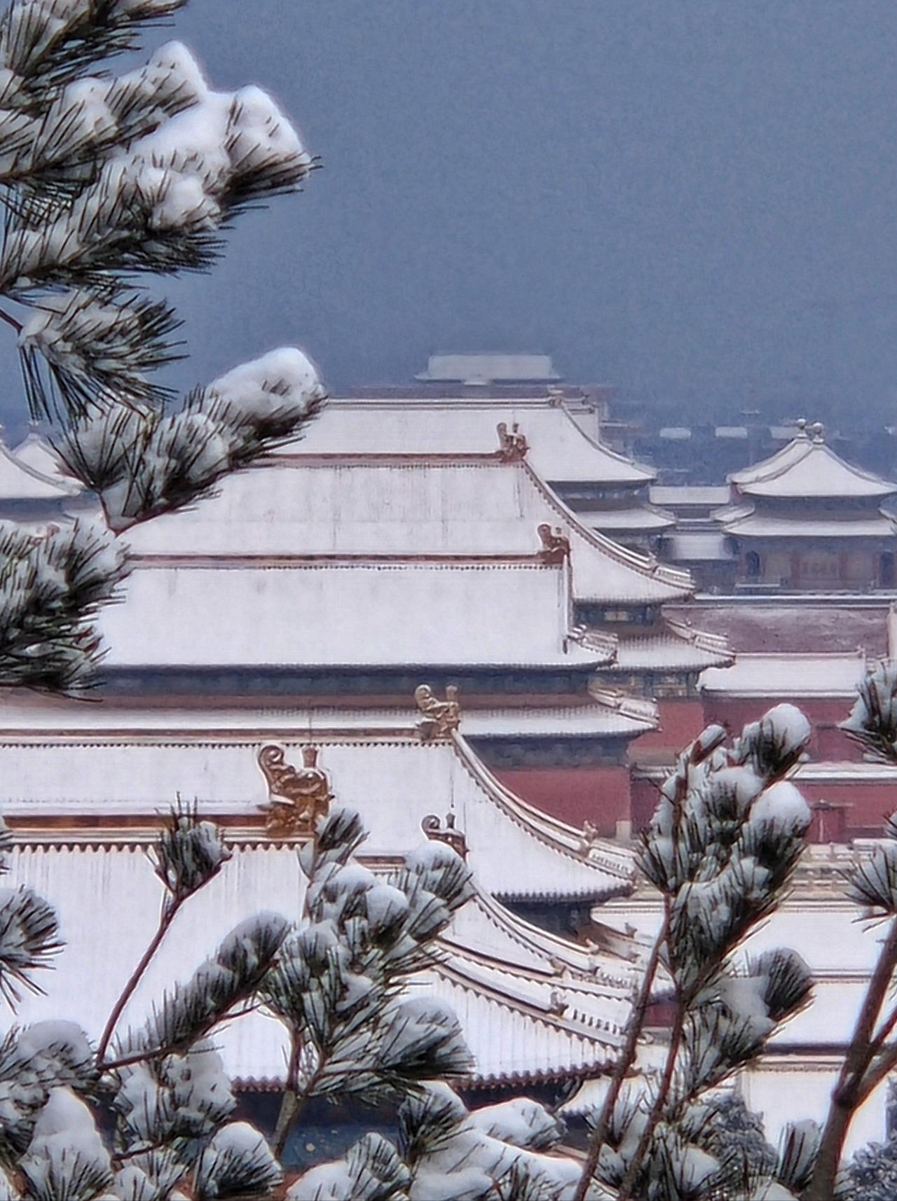雪落故宫氛围感拉满下雪了，才有冬天的感觉啊！当故宫的红墙碧瓦遇到碎碎琼芳，彷佛一