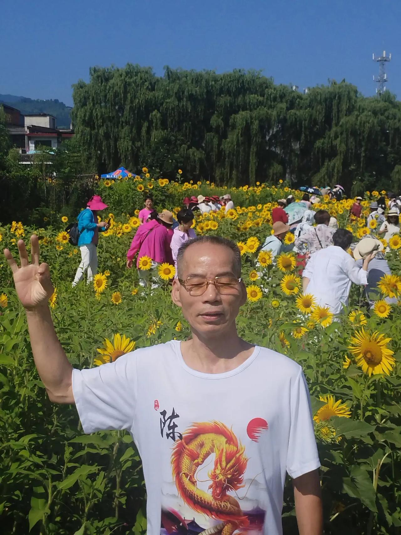 推荐朋友们一首好听的歌曲